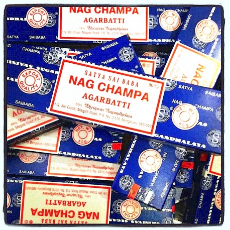 NAG CHAMPA