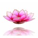 DIVINE LOTUS